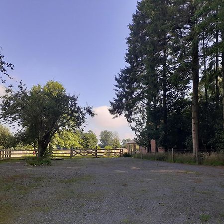 Les Gites Du Chateau De Maltot Saint-Ouen-du-Breuil Exterior foto